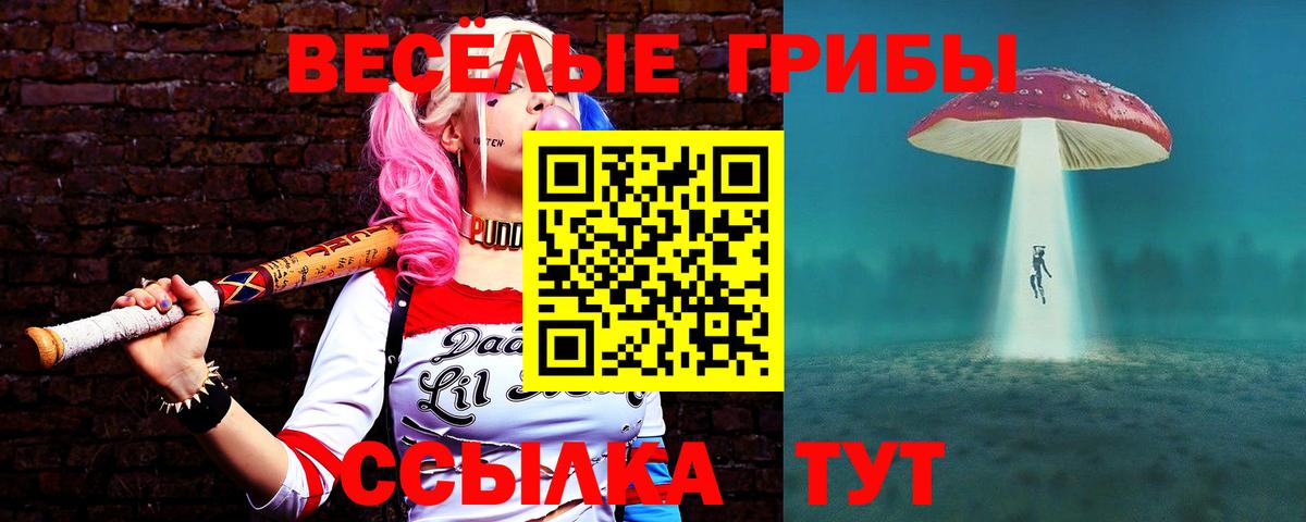 Псилоцибиновые грибы GOLDEN TEACHER Краснознаменск